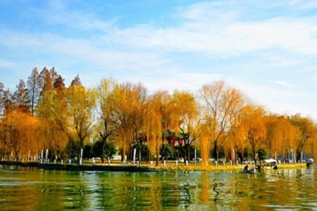 2023ó˾ִȫ