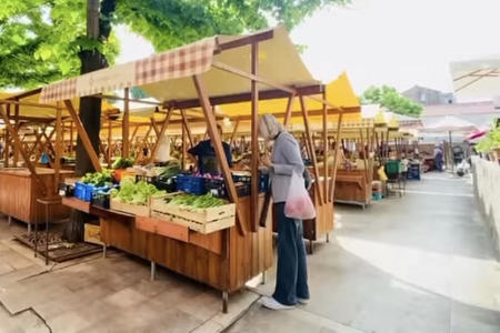 ��Ԣ��Ľ�����˾����