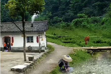 ȡ����˾������