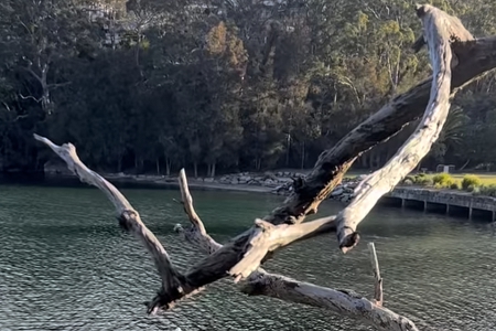 װ�ι�˾��ʲô���ֺ�