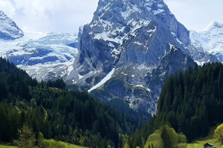 咨询管理公司名字大全