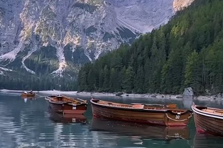 公司智能起名网