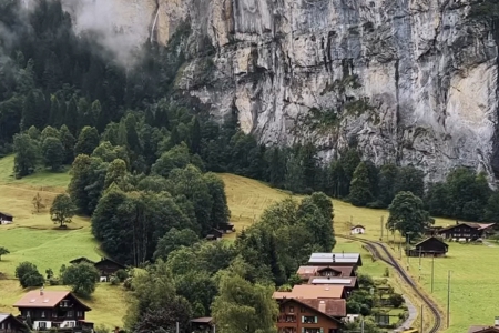 ȡ��˾���ִ�ȫ2025���°�