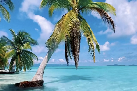 ������װ��˾���ִ�ȫ