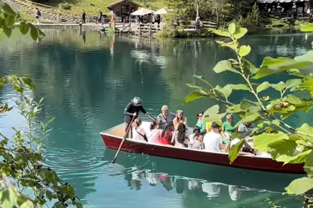 ��˾���߿�������