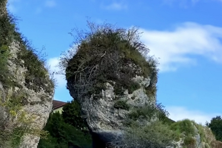 ʯ��ľ����˾������