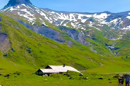 �����������޹�˾����