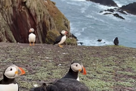 �������Ƽ���˾������ȫ