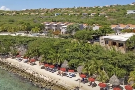 ������˾��ʲô���ֺ�