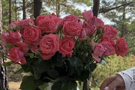 ����Ƽ���˾����