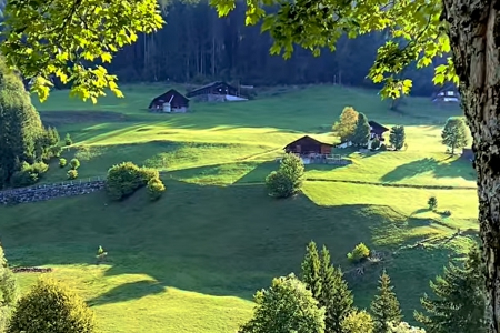 ������˾���ִ�ȫ