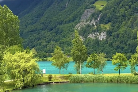 ���ֽл��������˾����