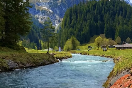 ������˾����