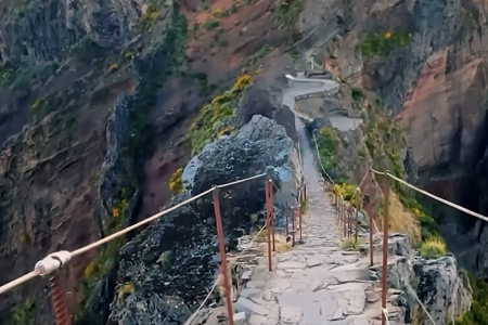 �Ŵ���˾������ȫ�б�