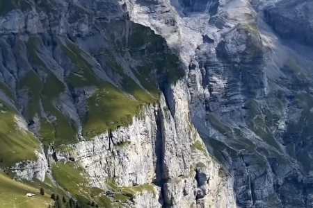 ������ѯ��˾ȡʲô���ֺ�