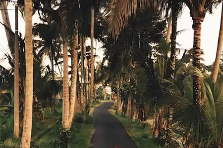 ��ý��˾������ȫ