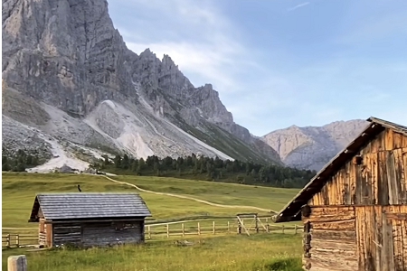 ���Թ�˾���ִ�ȫ