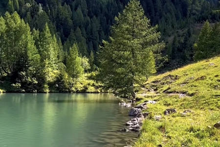 ��˾����ôȡ�ȽϺ���