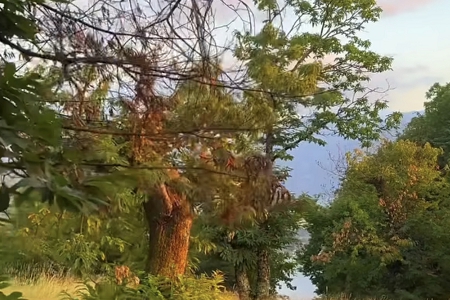 �����豸��˾���ִ�ȫ