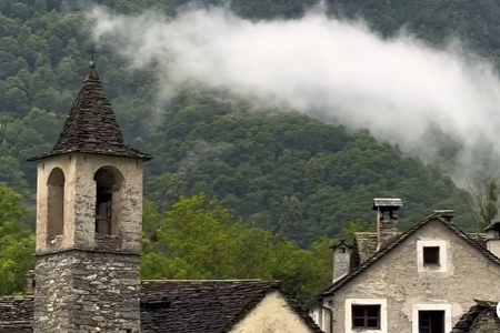 ԰�ֹ�˾ȡ��