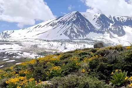 ע�ṫ˾ѡ����