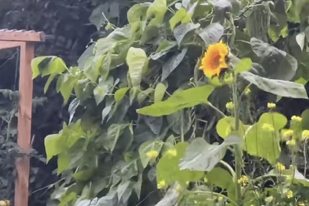 ���Ϲ�˾������ȫ