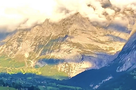 8��16������ʲô��˾����