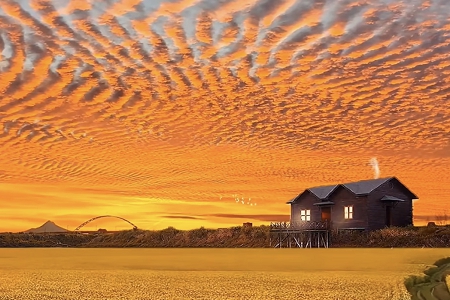 ��̨��˾����