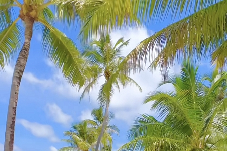 ��˾ȡ���ֵ���վ