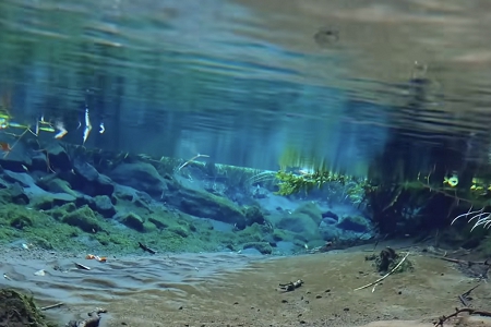 ������˾������ȫ