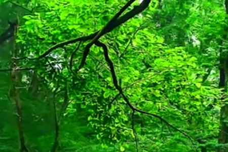 �Ļ���ý��˾���ִ�ȫ