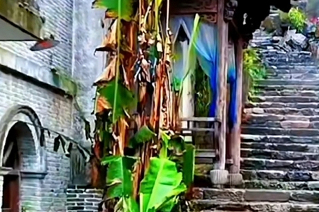 �Ƽ���˾��ʲô���ֺ�