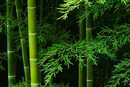 ��鹫˾���ִ�ȫ����
