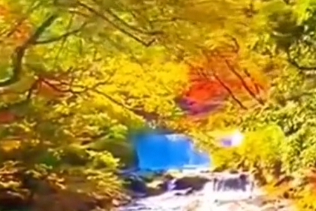 灯具公司起名