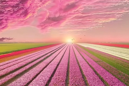 ũҵ��˾ȡ���ִ�ȫ