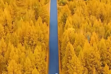 �ʺϽ�����˾�������ĸ���