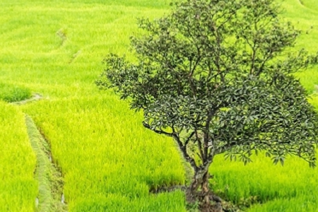 ���������ĵ�����˾����