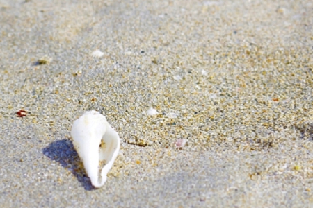 �����ัʳ�̵�ȡ���ִ�ȫ��