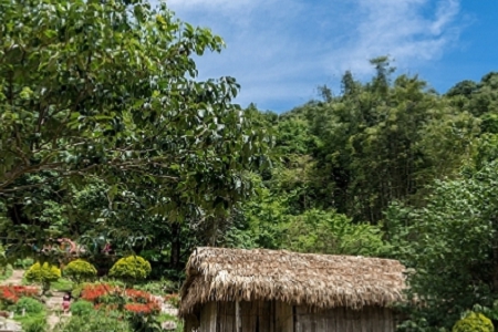 ���õ���ר����������ȫ