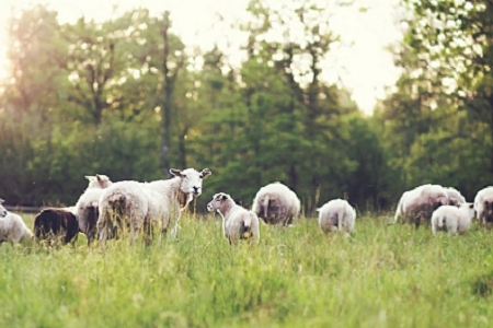 �����Ļ�������˾���ƴ�ȫ