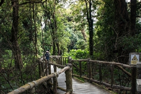 �������ں��Ĺ�˾���ִ�ȫ