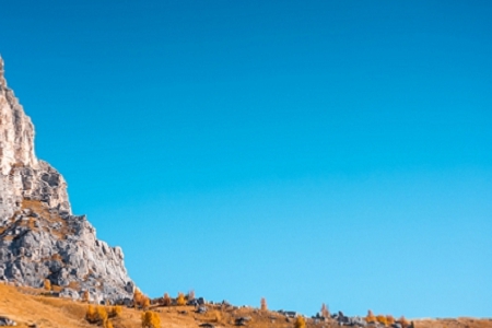 �д�����������ι�˾����