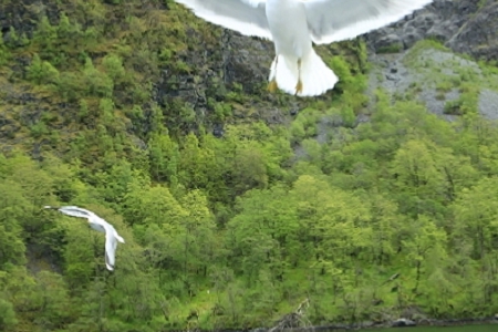 �����豸��˾ȡ����ȫ��