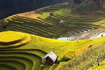 ������˾���ִ�ȫ��������