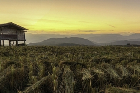 ��������ױ��˾����