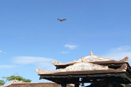 �����ķ����Ʒ��˾���ƴ�ȫ