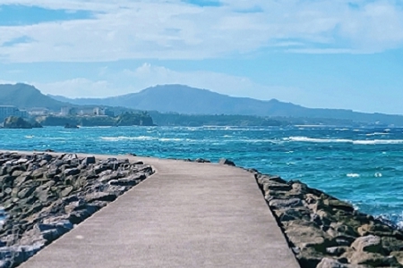 �����ľ�¥���ִ�ȫ����ɫ