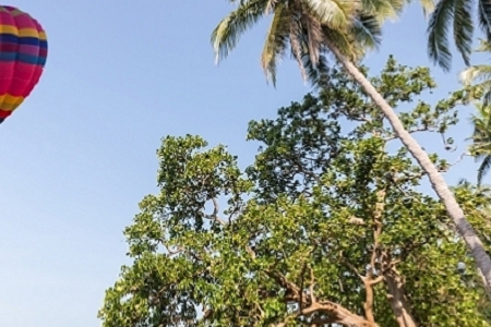 ������ó���۹�˾���ƴ�ȫ