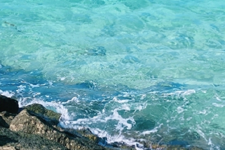 �����Ͷ�ʹ�˾���ִ�ȫ��