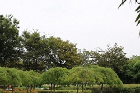 ע��С��԰���̻���˾